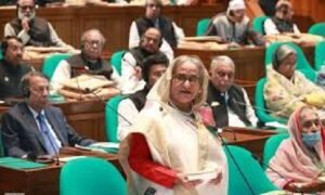 PM sees stable parliamentary democracy behind massive development