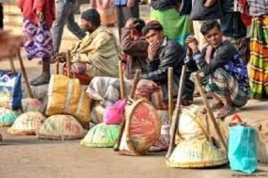 Country's total labour force raises to 73.69m