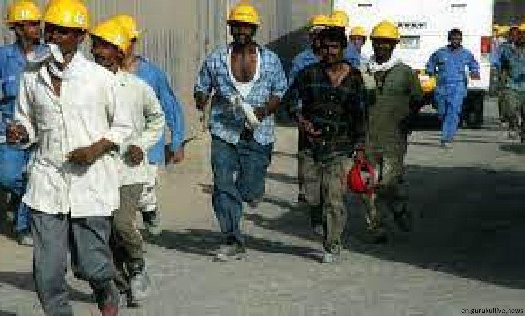 Country's total labour force raises to 73.69m