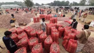 Govt plans to import onion from India soon, Dr. Razzaque