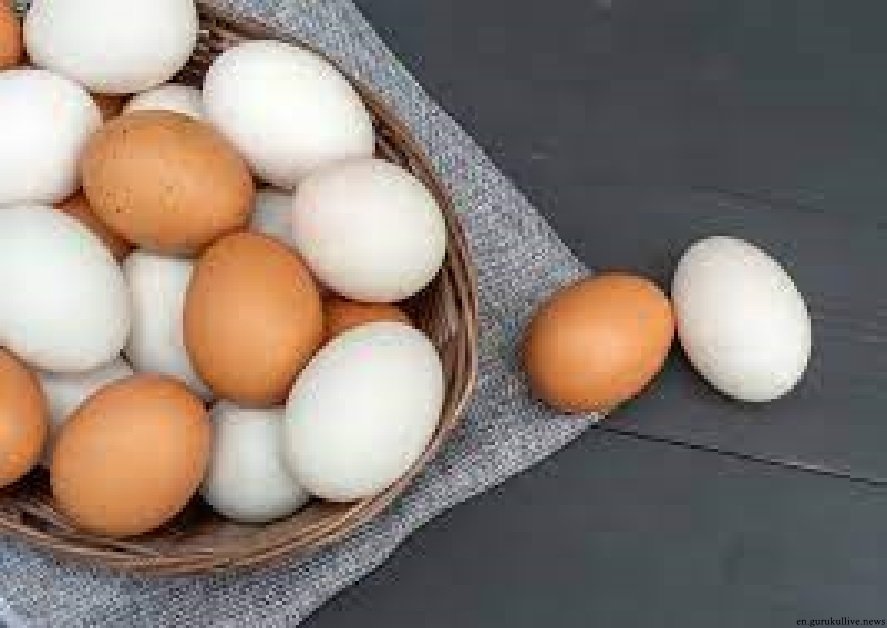 Govt gives permission to 4 companies to import four crore eggs