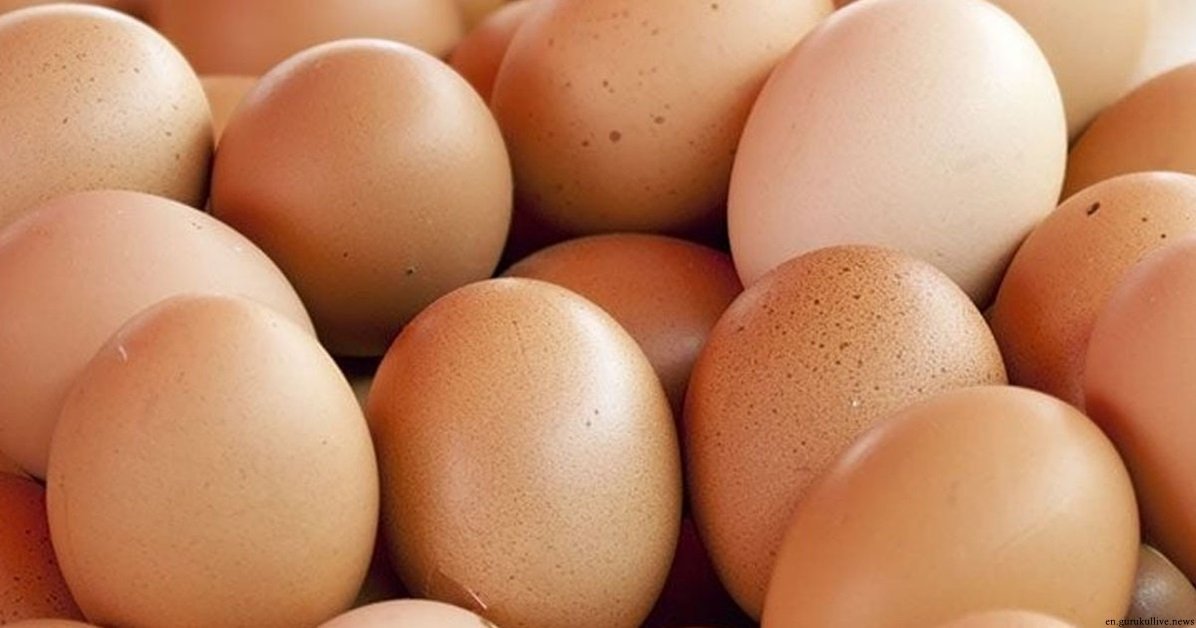 Govt gives permission to 4 companies to import four crore eggs